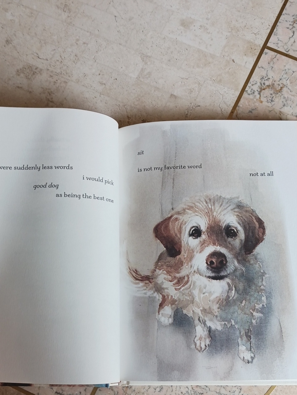 Book- I'm Still here...a Dogs Purpose Forever..(New Book)... - Picture 9 of 12